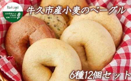 牛久市産 小麦 の ベーグル 6種・12個セット 全粒粉 シナモン レーズン ココア チョコ あずき ごま いちじく 無添加 農薬不使用 小麦 おうちカフェ お菓子 おやつ モーニング ブランチ 朝食 パン お取り寄せ 詰め合わせ セット お土産 プチギフト 贈り物 お祝い ギフト 国産 茨城