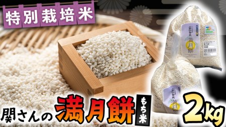 [ 特別栽培米 ] 関さんの もち米「 満月餅 」 2kg 特別栽培農産物 認定米 米 コメ お米 餅米