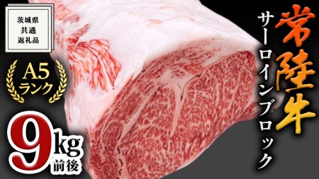 [常陸牛]A5サーロインブロック9kg前後 ( 茨城県共通返礼品 ) 肉 国産 焼肉 業務用