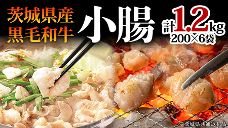 [茨城県産] 黒毛和牛 もつ鍋 焼肉用 小腸 1.2kg(200g×6パック) (茨城県共通返礼品)