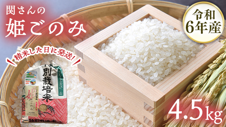 令和6年産[精米日出荷]みずほの村市場牛久店 関さんの「姫ごのみ」 4.5kg 特別栽培農産物 認定米