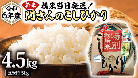 [ 特別栽培米 ] 令和6年産 精米日出荷 関さんの「 こしひかり 」 4.5kg ( 玄米時 5kg ) 新鮮 コシヒカリ 精米 米 こめ コメ 特別栽培農産物 認定米 新米