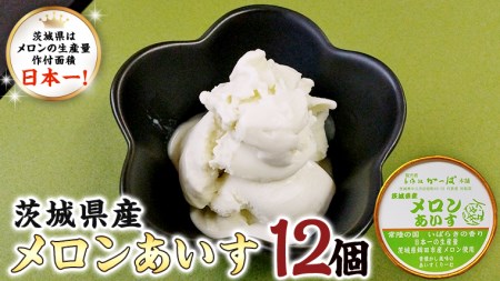 茨城県産メロンあいす 12個 アイス デザート めろん 贈り物 カップ 冷凍