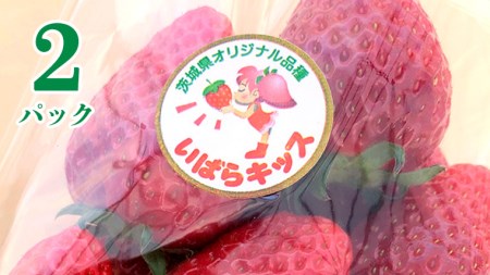 茨城県産 いちご 「 いばらキッス 」 2パック イチゴ 果物 フルーツ 新鮮 旬 果実
