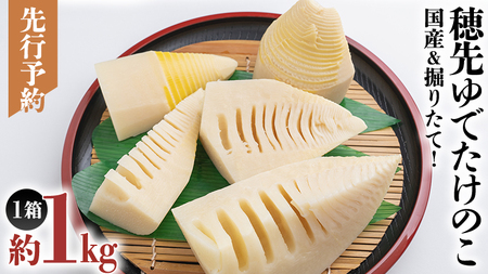 [ 先行予約 ] 掘りたて 穂先 ゆでたけのこ 約1kg [ 2026年 4月中旬 以降発送 ]