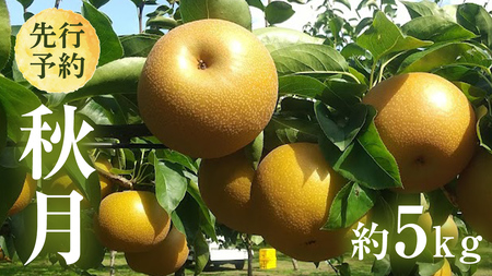 y 2025N9{Jn z 錧Y  H i 5kg j 10`16 t[c ʕ Ȃ iV { VN Ԍ Â Y s\