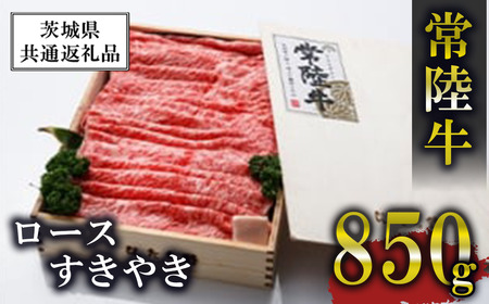 헤[X₫850gy錧ʕԗiz  헤