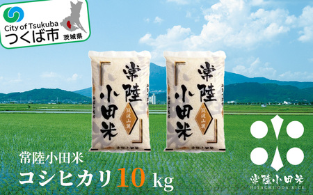 常陸小田米 10kg[2024年9月下旬以降に発送予定] 茨城県つくば市産コシヒカリ[ お米 米 白米 コメ ご飯 茨城県産米 おこめつくば市米 筑波米コメ 精米 コシヒカリ米 ]