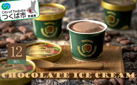 チョコレートアイスクリーム(122ml×12個)[離島・沖縄配送不可]