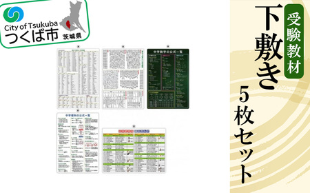 受験教材下敷き 5枚セット[クリアファイル 文房具 教材 ツール 高校受験 暗記 記憶 視覚 勉強 学習 受験 テスト 試験 隙間時間 中学生 理科 国語 数学 歴史 英語 5教科 セット フライング・エッグ 人気 おすすめ]