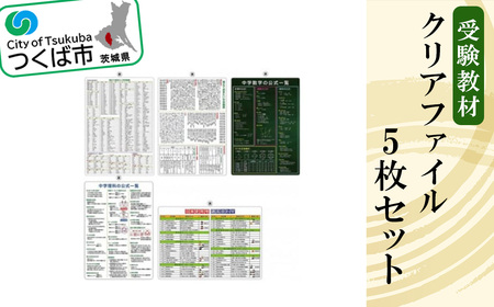 受験教材クリアファイル 5枚セット[クリアファイル 文房具 教材 ツール 高校受験 暗記 記憶 視覚 勉強 学習 受験 テスト 試験 隙間時間 中学生 理科 国語 数学 歴史 英語 5教科 セット フライング・エッグ 人気 おすすめ]