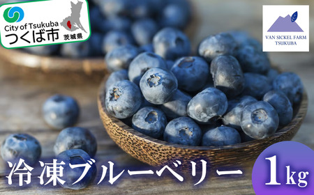 茨城県つくば市産 冷凍ブルーベリー 1kg[ブルーベリー 国産 ベリー スイーツ トッピング 栄養 ジャム 果実 果物 パンケーキ]