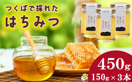 つくばで採れたはちみつ 150g×3 本[ 茨城県 つくば市 はちみつ ハチミツ 蜂蜜 蜜蜂 みつばち ミツバチ 養蜂 ]