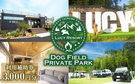 LUCY RESORT(ルーシーリゾート)利用補助券 3,000円分[ 茨城県 つくば市 体験 チケット ドッグラン BBQ バーベキュー グランピング ペット 宿泊 ]