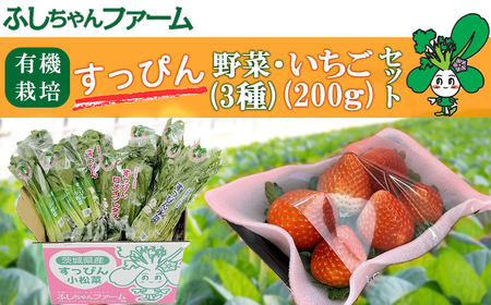 [2025年1月中旬発送開始]すっぴん有機やさい・いちごセットA[ 茨城県 つくば市 いちご 苺 イチゴ 恋みのり 小松菜 ロメインレタス 水菜 鍋 鍋もの 野菜 ベジタブル 有機野菜 有機栽培 無農薬 有機農業 オーガニック 自然 果実 フルーツ 果物 希少 ]