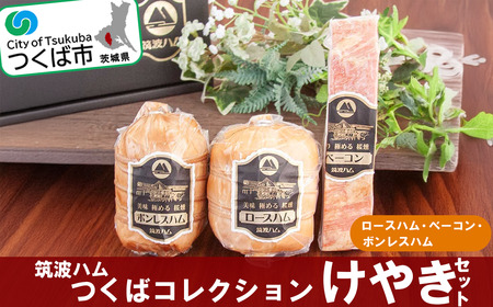 筑波ハム つくばコレクション けやきセット(ボンレスハム、ベーコン、ロースハム)[ 豚肉 豚 ぶた肉 ポーク ハム はむ ロースハム ハム ベーコン ボンレスハムハム 茨城県産 国産 ハム つくば市 ]