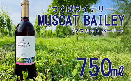 2021つくばワイナリー MUSCAT BAILEY A [お酒 葡萄 ぶどう ブドウ 茨城県産 つくば市産 ワイナリー ワイン ワイン ワイン ワイン ワイン ]