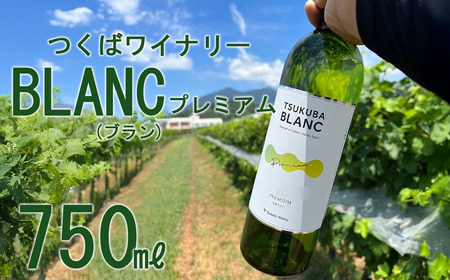 つくばワイナリー TSUKUBA BLANC プレミアム[お酒 葡萄 ぶどう ブドウ 茨城県産 つくば市産 ワイナリー ワイン ワイン ワイン ワイン ワイン ]