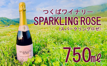 つくばワイナリー SPARKLING ROSE(スパークリングロゼ) [お酒 葡萄 ぶどう ブドウ 茨城県産 つくば市産 ワイナリー ワイン ワイン ワイン ワイン ワイン ]