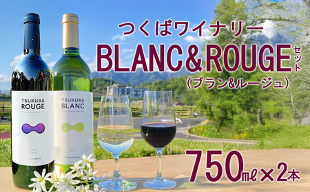 つくばワイナリー TSUKUBA BLANC & ROUGE セット[お酒 葡萄 ぶどう ブドウ 茨城県産 つくば市産 ワイナリー ワイン ワイン ワイン ワイン ワイン ]