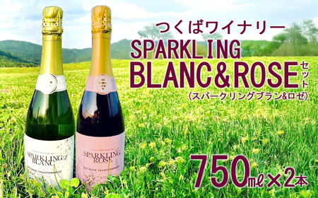 つくばワイナリー SPARKLING BLANC & ROSE セット[お酒 葡萄 ぶどう ブドウ 茨城県産 つくば市産 ワイナリー ワイン ワイン ワイン ワイン ワイン ]