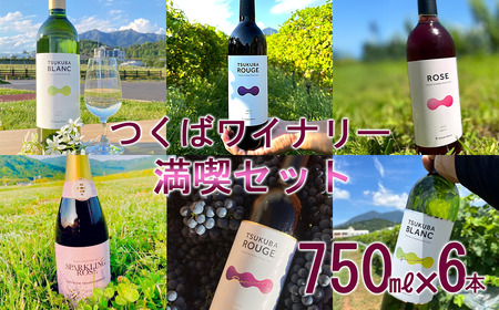 つくばワイナリー 満喫セット[お酒 葡萄 ぶどう ブドウ 茨城県産 つくば市産 ワイナリー ワイン ワイン ワイン ワイン ワイン ]