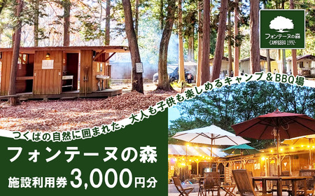 キャンプ&バーベキュー「フォンテーヌの森」 施設利用券 3,000円分[ キャンプ キャンプ キャンプ キャンプ ]