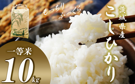 [先行予約 10月中旬〜発送開始]☆令和7年産☆ 新米コシヒカリ10kg つくば市むつみ農園|米