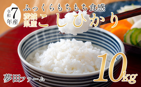 �y�ߘa7�N�Y�R�V�q�J��10kg�z ���c�t�@�[���̃R�V�q�J��| ��