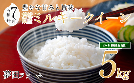 y3J ߘa7NY~L[NC[5kg zct@[̃~L[NC[