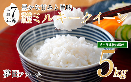 y6J ߘa7NY~L[NC[5kg zct@[̃~L[NC[ | 