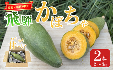 農薬・肥料不使用の飛騨かぼちゃ | かぼちゃ