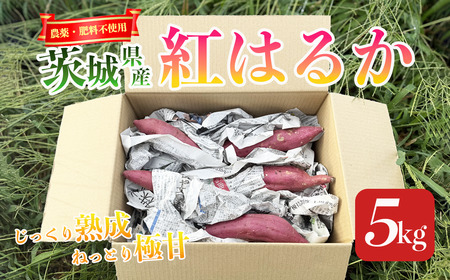 ☆先行予約 2026年1月発送開始☆農薬・肥料不使用のさつまいも | さつまいも