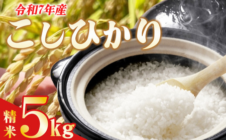 ☆令和7年産☆ コシヒカリ(精米) 5kg | 米 こしひかり