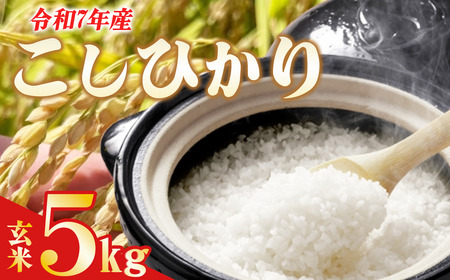 ☆令和7年産☆ コシヒカリ(玄米) 5kg | 米 こしひかり