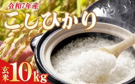 ߘa7NY ɂ̂߂()@10kg |  ɂ̂߂