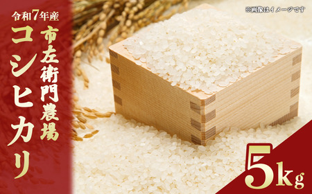 令和7年産 市左衛門農場コシヒカリ5kg