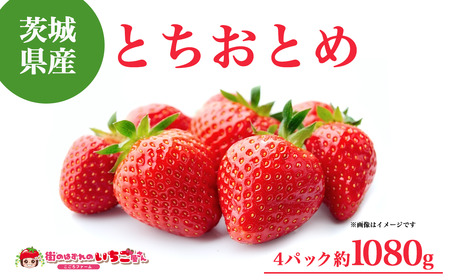 茨城県産とちおとめ 約1080g いちご