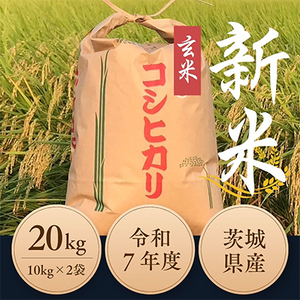 令和7年度　ひたちなか市産コシヒカリ玄米20kg(10kg×2袋)_ 玄米 米 こめ コメ   コシヒカリ 米 こしひかり_【1528798】