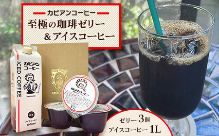 カピアンコーヒー　至極の珈琲ゼリー＆アイスコーヒーセット(ゼリー3個＆アイスコーヒー1L)_菓子・スイーツ ゼリー    飲料・ドリンク 飲料 コーヒー・コーヒー豆 _【1563983】