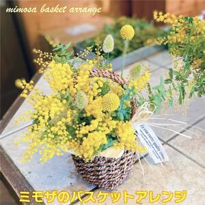 (3月発送)ミモザのバスケットアレンジ[限定品]おしゃれなお花をインテリア・壁飾り・プレゼント に!_花・観葉植物 花 _[配送不可地域:離島]