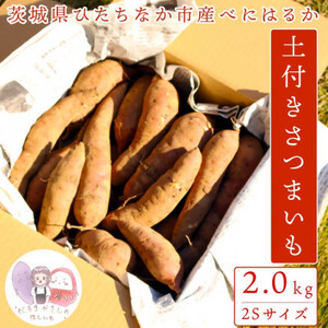 【先行受付】11月下旬より発送!茨城県 ひたちなか産 さつまいも 紅はるか 箱込2kg【訳あり】【1631630】
