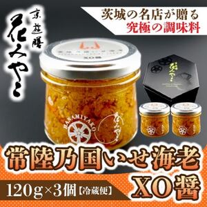 yVV Ԃ݂₱z헤TCVXO  3yzsnFzy1663113z