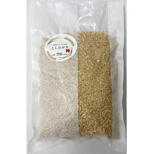 yʍ͔|āzRVqJ@錧Y@ā@600g@Mtgɂ߁y1670037z