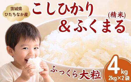 米 ふくまる2kgとコシヒカリ2kg 精米 計4kg | 