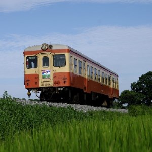 ひたちなか海浜鉄道湊線キハ205貸し切り乗車体験