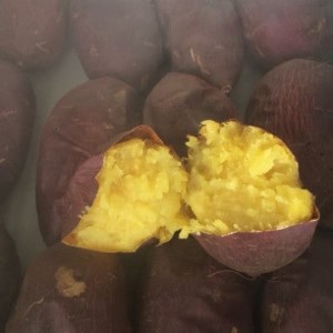 yĂ/Hא؂TCY̌z삳̂₫2kg(250g×8)炲ƐHׂĂC_ ܂  Tc}C F_yzsnFzy1371996z