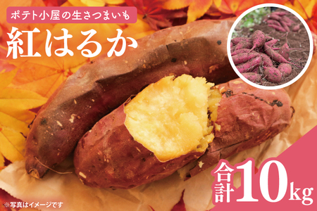 ポテト小屋の生さつまいも 紅はるか 計 約10kg(8kg+約25%補償分)[鹿嶋市 減農薬 熟成 貯蔵 サツマイモ 生芋 べにはるか 送料無料 10キロ 15000円以内] (KBR-11)