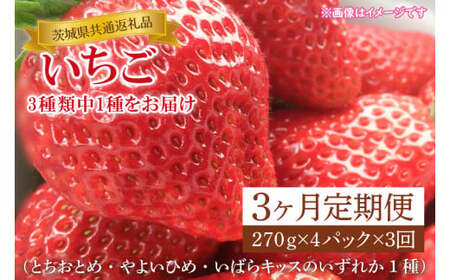 [3ヶ月定期便][1月上旬〜3月発送][先行予約][茨城県共通返礼品]いちご(とちおとめ・やよいひめ・いばらキッスのいずれか1種)270g×4パック(KCM-24)
