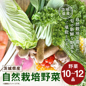 [共通返礼品]自然栽培野菜10〜12品目(KBE-1)